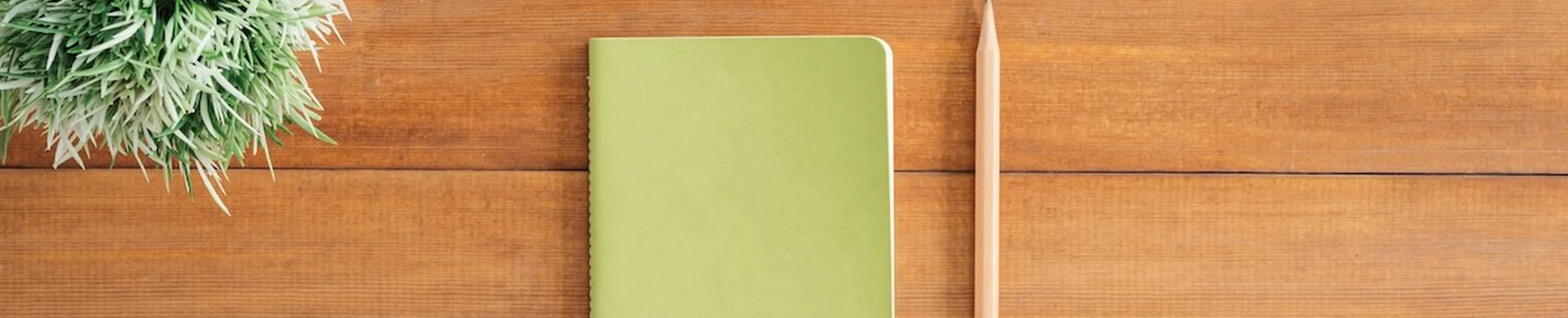 Annual Meeting of the Society for Thermal Medicine 2022