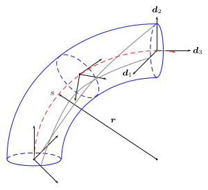 Schematic of Cosserat rod and directors