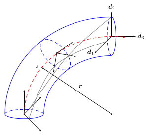 Schematic of Cosserat rod and directors