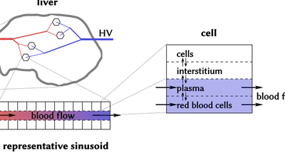 QuaLiPerF featured image