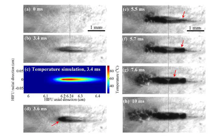 Comparison of simulation and experiments of high pressure simulations