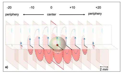 schematic of damage