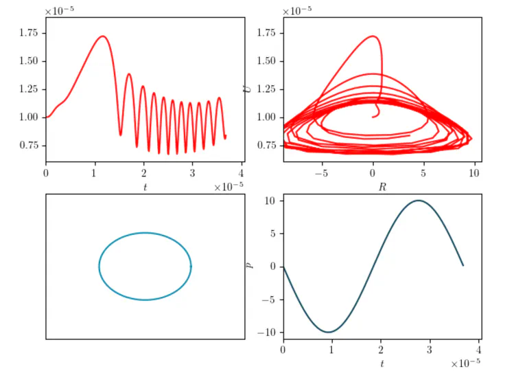 Nonlinear Dynamics of Microbubbles in Tissue