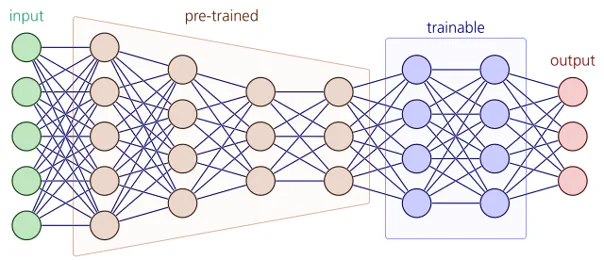 schematic of transfer learning network